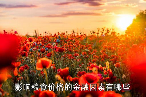 影響糧食價(jià)格的金融因素有哪些