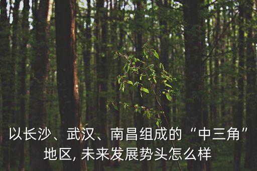 以長沙、武漢、南昌組成的“中三角”地區(qū), 未來發(fā)展勢頭怎么樣