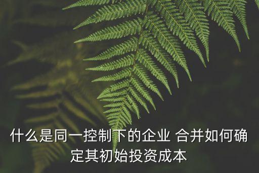 子公司注銷(xiāo)合并利潤(rùn)表,處置子公司的合并利潤(rùn)表編制