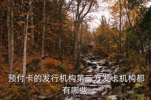上海預(yù)付卡規(guī)模,上海單用途預(yù)付卡實(shí)施辦法