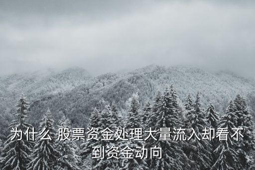為什么 股票資金處理大量流入卻看不到資金動向