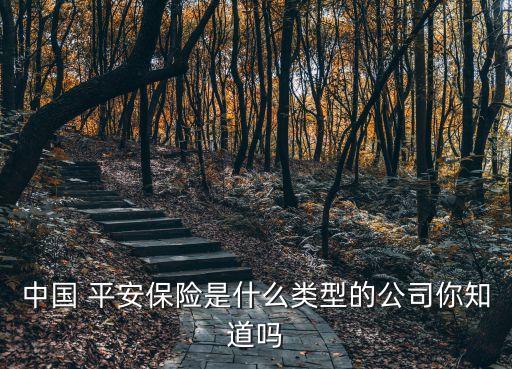 中國 平安保險(xiǎn)是什么類型的公司你知道嗎