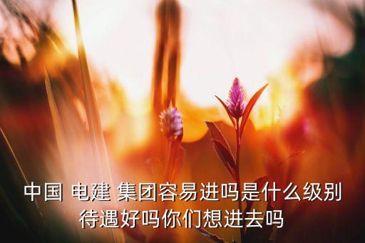 中國 電建 集團容易進嗎是什么級別待遇好嗎你們想進去嗎