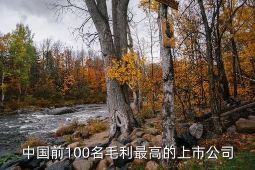 中國(guó)前100名毛利最高的上市公司