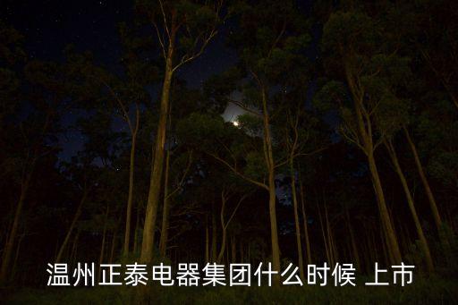  溫州正泰電器集團(tuán)什么時候 上市