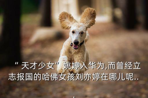 “ 天才少女”姚婷入華為,而曾經(jīng)立志報(bào)國(guó)的哈佛女孩劉亦婷在哪兒呢...