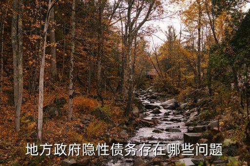 地方政府隱性債務存在哪些問題