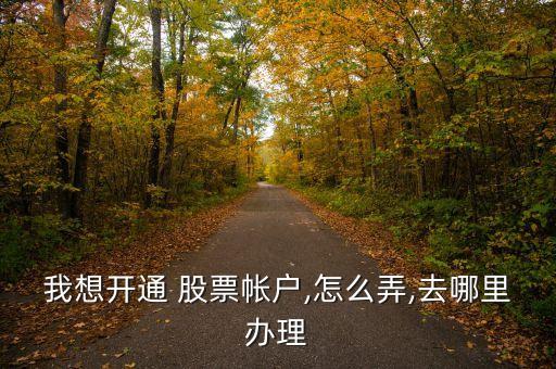 我想開(kāi)通 股票帳戶(hù),怎么弄,去哪里辦理