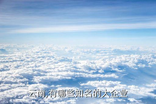溫州公投集團(tuán)