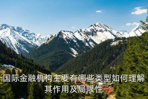 國際金融機構主要有哪些類型如何理解其作用及局限性