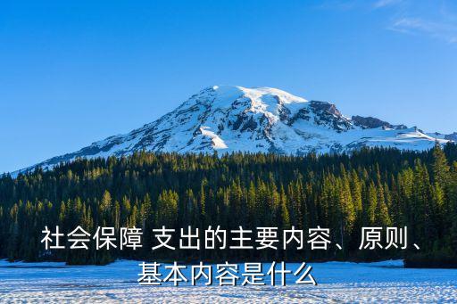  社會(huì)保障 支出的主要內(nèi)容、原則、基本內(nèi)容是什么