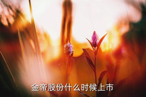 金帝股份什么時候上市