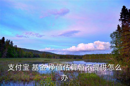 398001基金凈值查詢(xún)今天