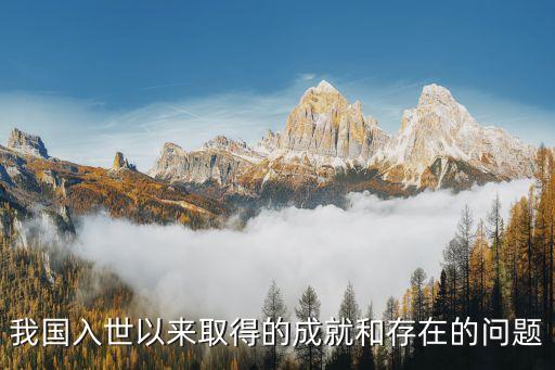我國(guó)入世以來(lái)取得的成就和存在的問(wèn)題