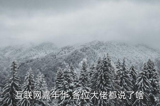 互聯(lián)網嘉年華,各位大佬都說了啥
