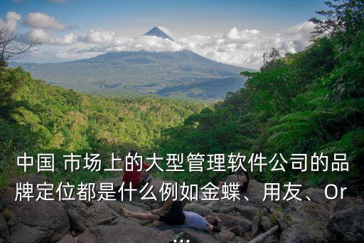中國 市場上的大型管理軟件公司的品牌定位都是什么例如金蝶、用友、Or...