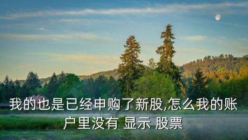 我的也是已經申購了新股,怎么我的賬戶里沒有 顯示 股票