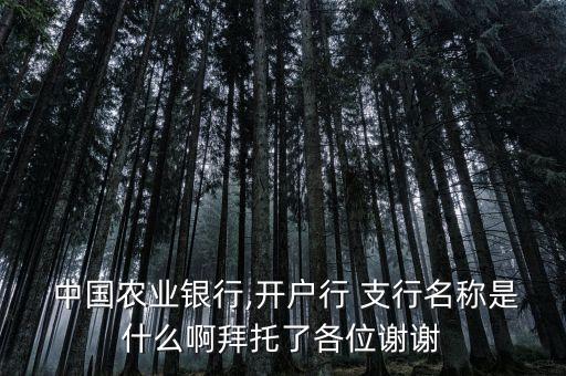  中國(guó)農(nóng)業(yè)銀行,開戶行 支行名稱是什么啊拜托了各位謝謝