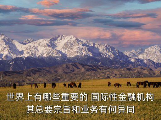 世界上有哪些重要的 國際性金融機構其總要宗旨和業(yè)務有何異同