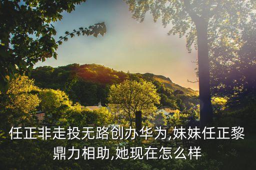 任正非走投無(wú)路創(chuàng)辦華為,妹妹任正黎鼎力相助,她現(xiàn)在怎么樣