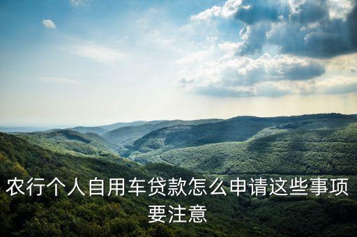 農(nóng)業(yè)銀行有車(chē)貸嗎