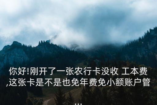 免銀行卡年工本費(fèi),銀行卡工本費(fèi)什么時候扣除