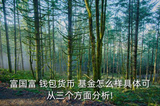 富國(guó)富 錢(qián)包貨幣 基金怎么樣具體可從三個(gè)方面分析!