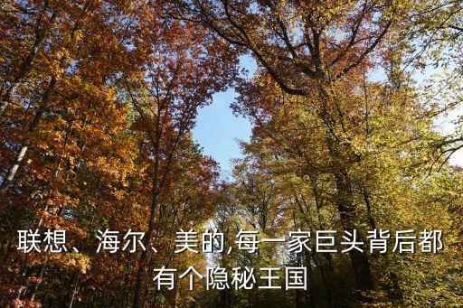 聯(lián)想、海爾、美的,每一家巨頭背后都有個隱秘王國