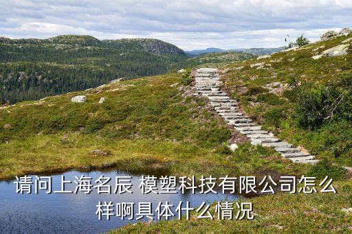 請(qǐng)問上海名辰 模塑科技有限公司怎么樣啊具體什么情況