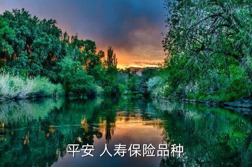 中國人壽服務(wù)對(duì)標(biāo)項(xiàng)目