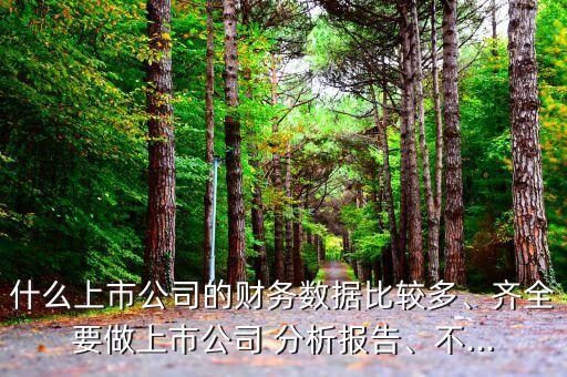什么上市公司的財務(wù)數(shù)據(jù)比較多、齊全要做上市公司 分析報告、不...