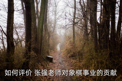 如何評價(jià) 張強(qiáng)老師對象棋事業(yè)的貢獻(xiàn)