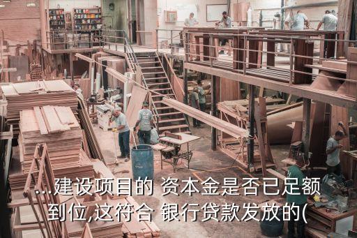 ...建設(shè)項目的 資本金是否已足額到位,這符合 銀行貸款發(fā)放的(