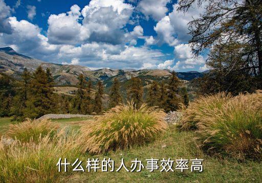 中國(guó)人工作效率高,對(duì)工作效率高的贊美