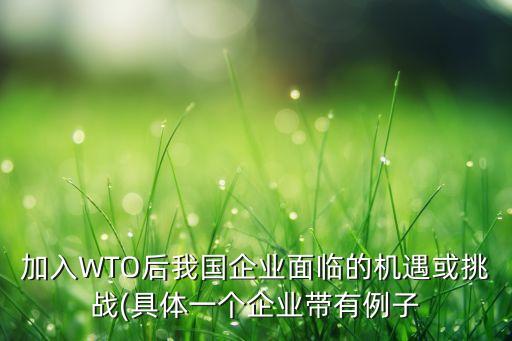 加入WTO后我國企業(yè)面臨的機(jī)遇或挑戰(zhàn)(具體一個(gè)企業(yè)帶有例子