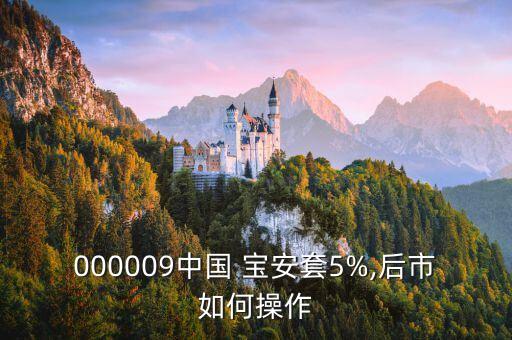 000009中國 寶安套5%,后市如何操作
