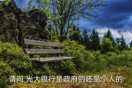 請(qǐng)問 光大銀行是政府的還是個(gè)人的