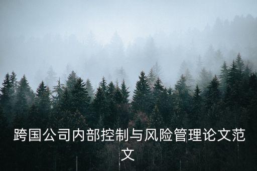 2013跨國公司中國報(bào)告,報(bào)告指出,中國及印度的一些跨國公司