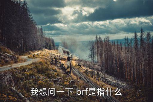 我想問(wèn)一下 brf是指什么