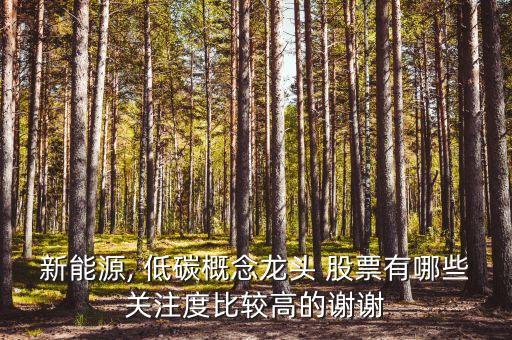 新能源, 低碳概念龍頭 股票有哪些關(guān)注度比較高的謝謝