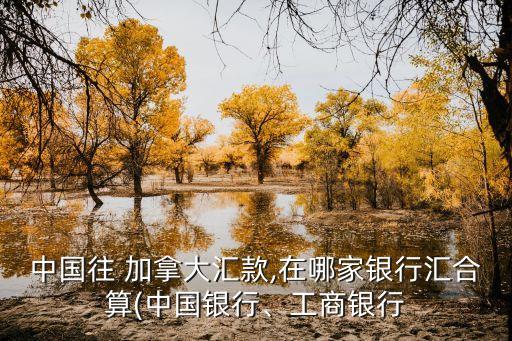 中國往 加拿大匯款,在哪家銀行匯合算(中國銀行、工商銀行