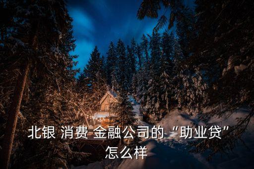  北銀 消費 金融公司的“助業(yè)貸”怎么樣