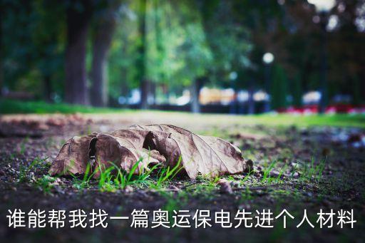 北京能源電力股份公司張平總經理