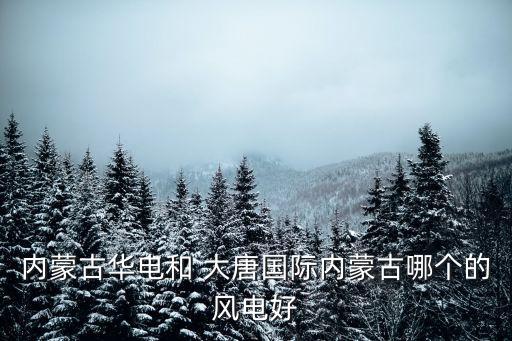 內(nèi)蒙古華電和 大唐國際內(nèi)蒙古哪個(gè)的風(fēng)電好