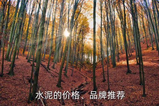  水泥的價格、品牌推薦