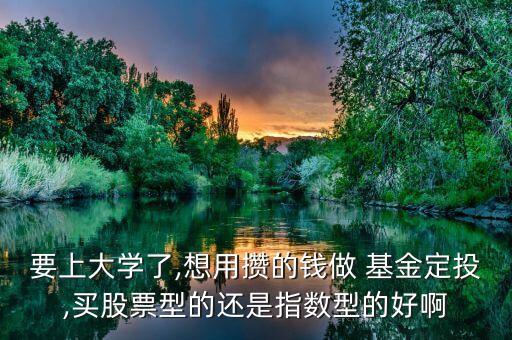 要上大學(xué)了,想用攢的錢(qián)做 基金定投,買(mǎi)股票型的還是指數(shù)型的好啊