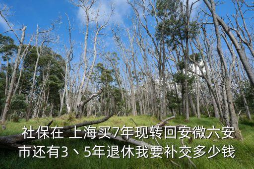  社保在 上海買7年現轉回安微六安市還有3丶5年退休我要補交多少錢