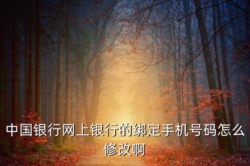 中國銀行網(wǎng)上銀行的綁定手機(jī)號(hào)碼怎么修改啊