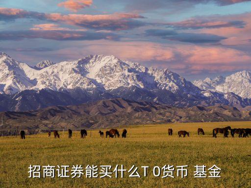 招商證券能買(mǎi)什么T 0貨幣 基金