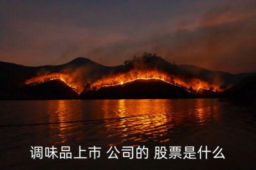 調味品上市 公司的 股票是什么